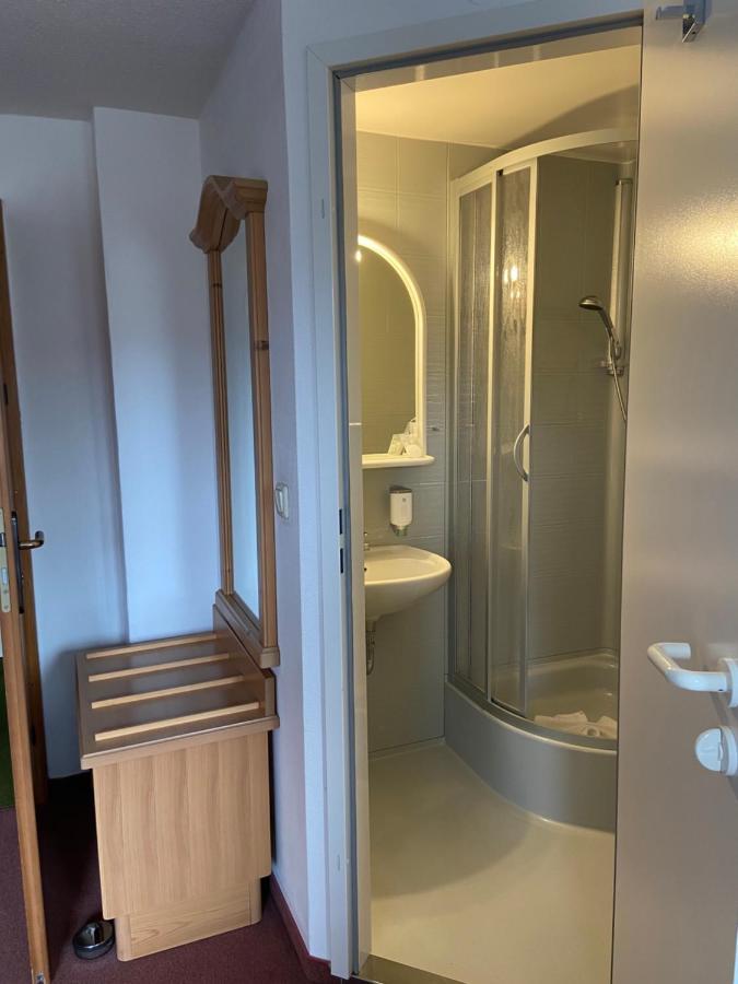 Muldenschlosschen Hotel Lunzenau ภายนอก รูปภาพ