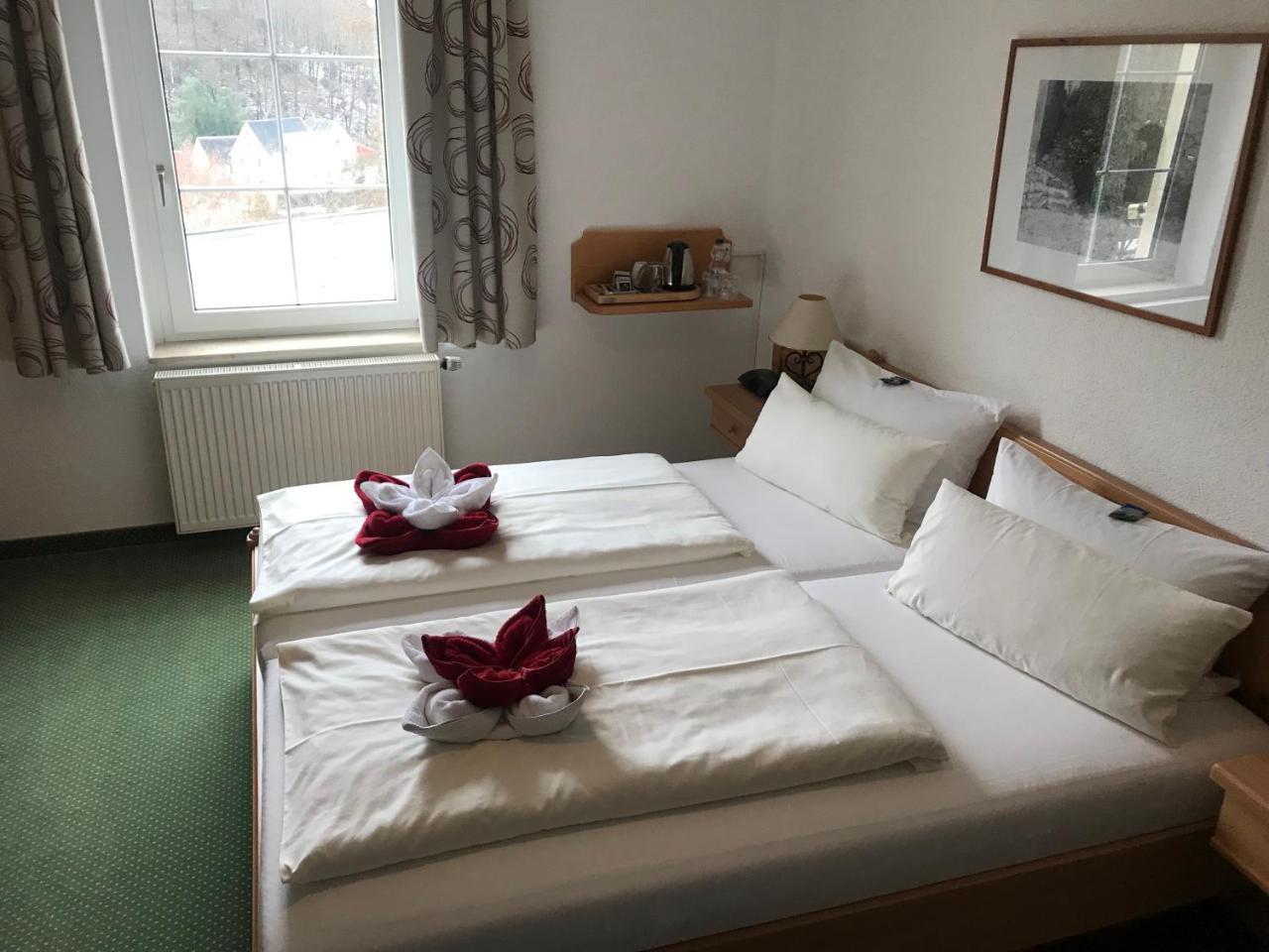 Muldenschlosschen Hotel Lunzenau ภายนอก รูปภาพ